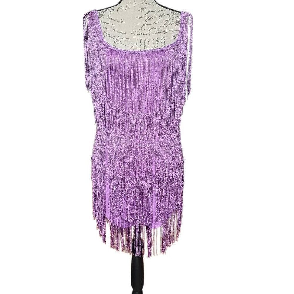 Women's Size Small Purple Silver Metallic Fringe Mini Dress